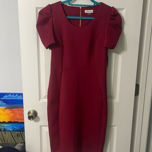 Calvin Klein wine red scuba dress.